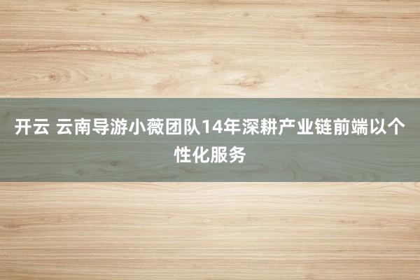 开云 云南导游小薇团队14年深耕产业链前端以个性化服务